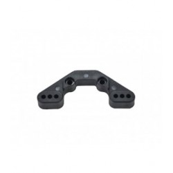 CAMBERLINK MOUNT REAR SRX2...