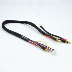CABLE CARGA 2x2S DE 60 cm...